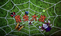 昆虫大战视频,惊心动魄的生存之战